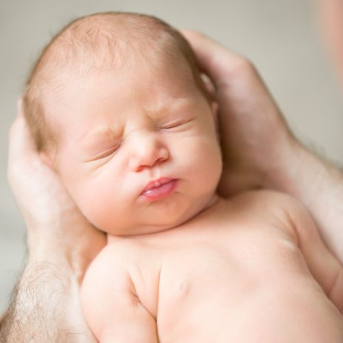 Portrait of a newborn hold in palms
